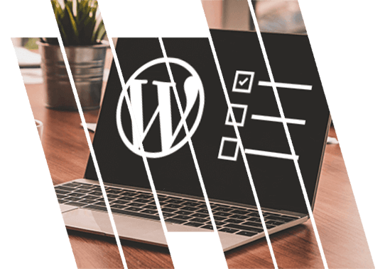 Best WordPress Theme Setup Service