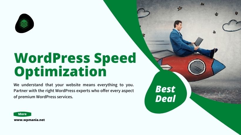 WordPress Speed Optimization Service 