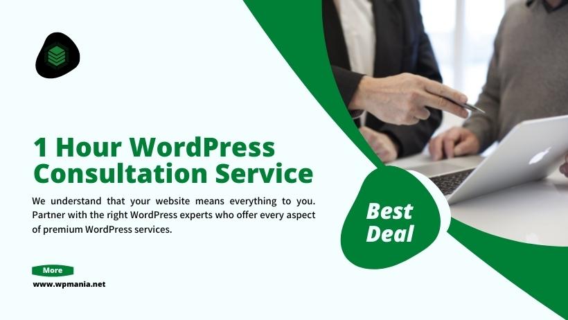 WordPress Consultation Service 