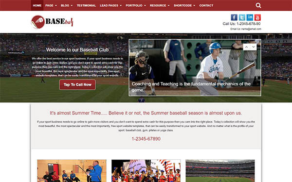 Baseball WordPress Theme
