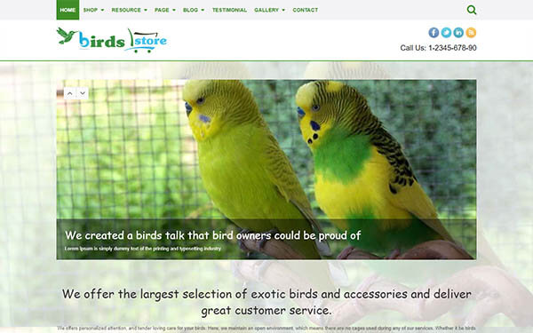 Birds WordPress Theme