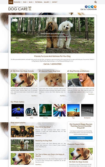 Dog Care WordPress Theme