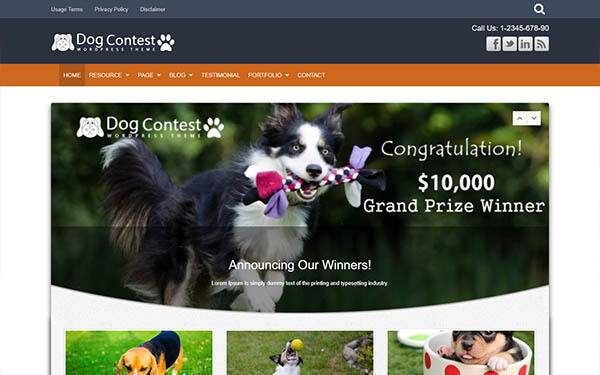 Dog Contest WordPress Theme