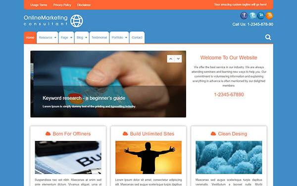 Online Marketing WordPress Theme