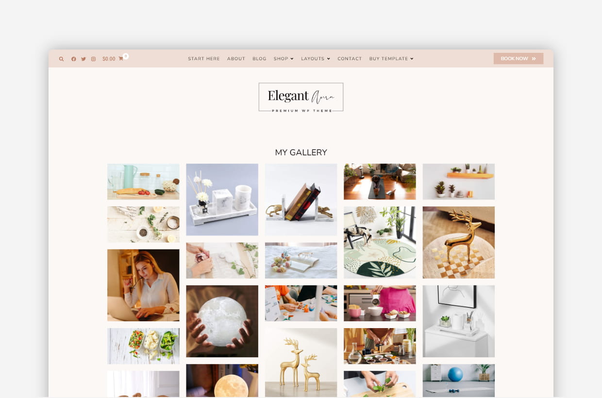 Elegant Aura WordPress Theme